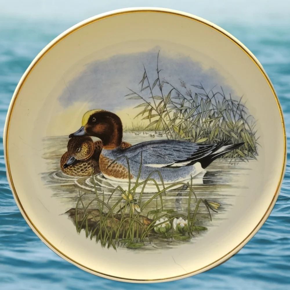 Vtg PRINKNASH POTTERY PLATE EARTHENWARE WILDFOWL SERIES PLATE NUMBER 3 WIDGEON